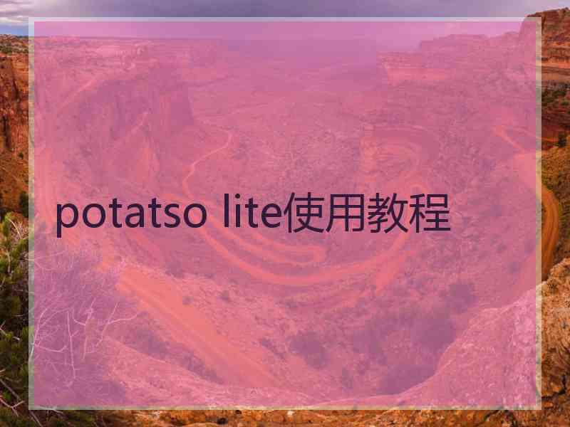 potatso lite使用教程