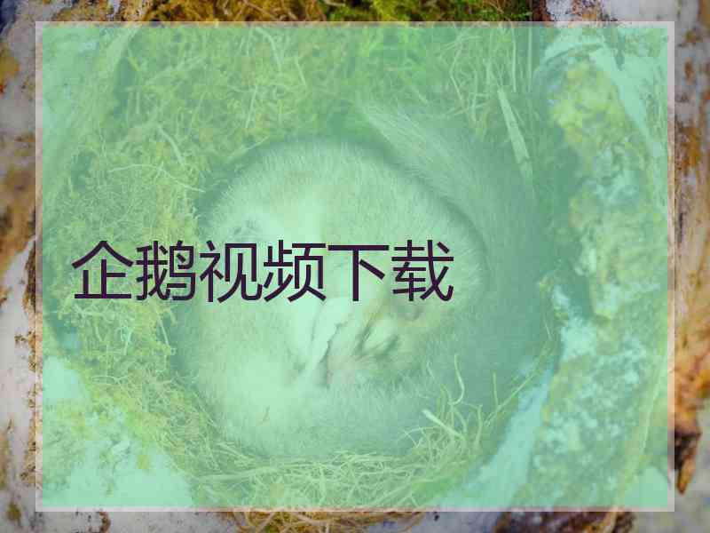 企鹅视频下载