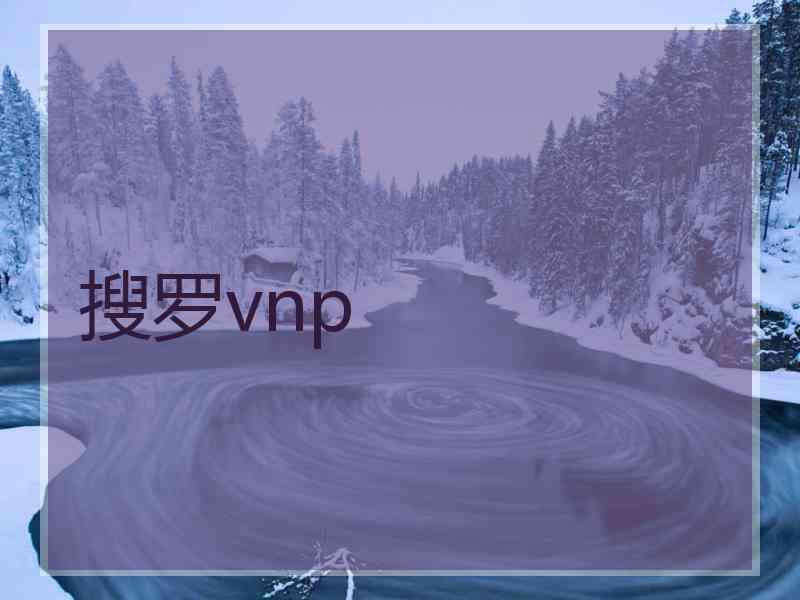 搜罗vnp