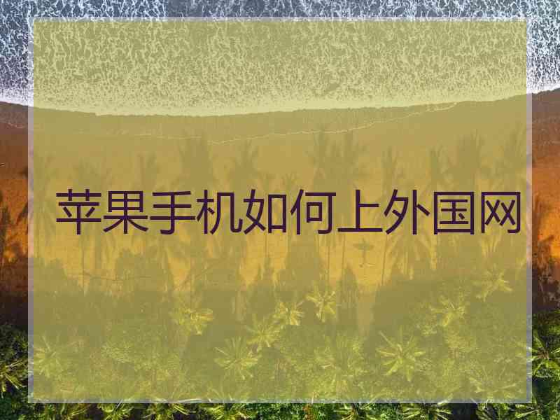 苹果手机如何上外国网