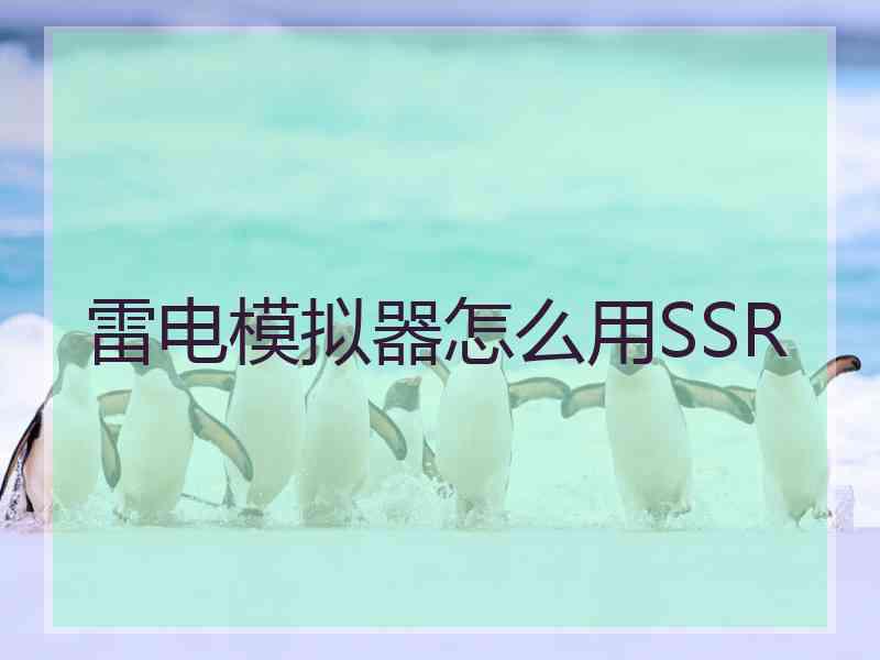 雷电模拟器怎么用SSR