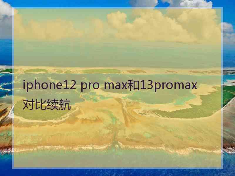 iphone12 pro max和13promax对比续航