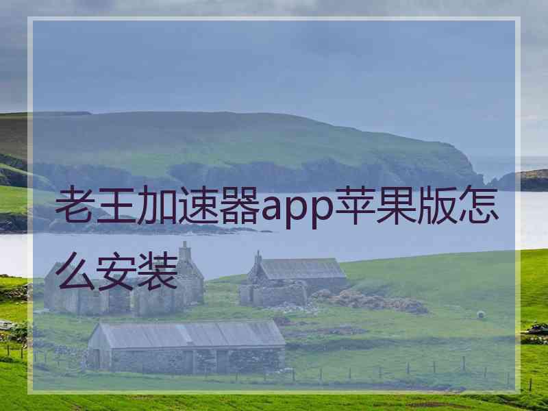 老王加速器app苹果版怎么安装