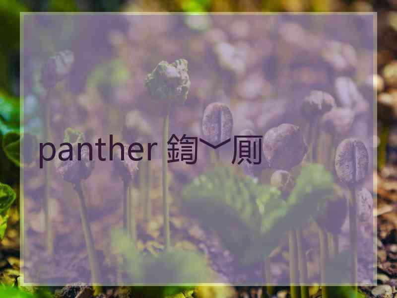 panther 鍧﹀厠