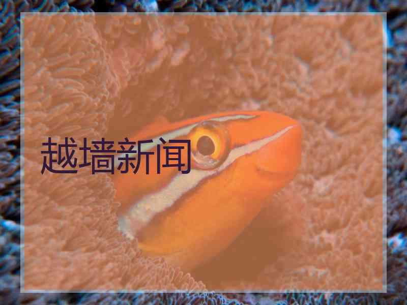 越墙新闻