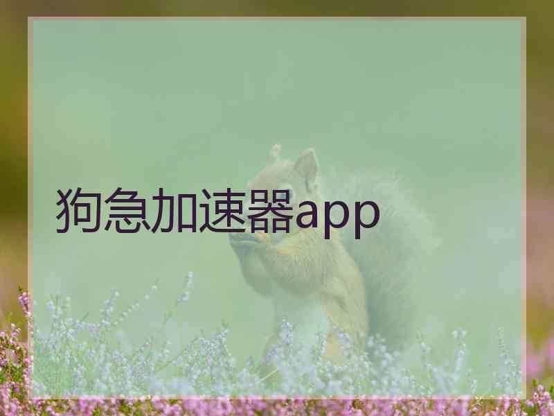 狗急加速器app