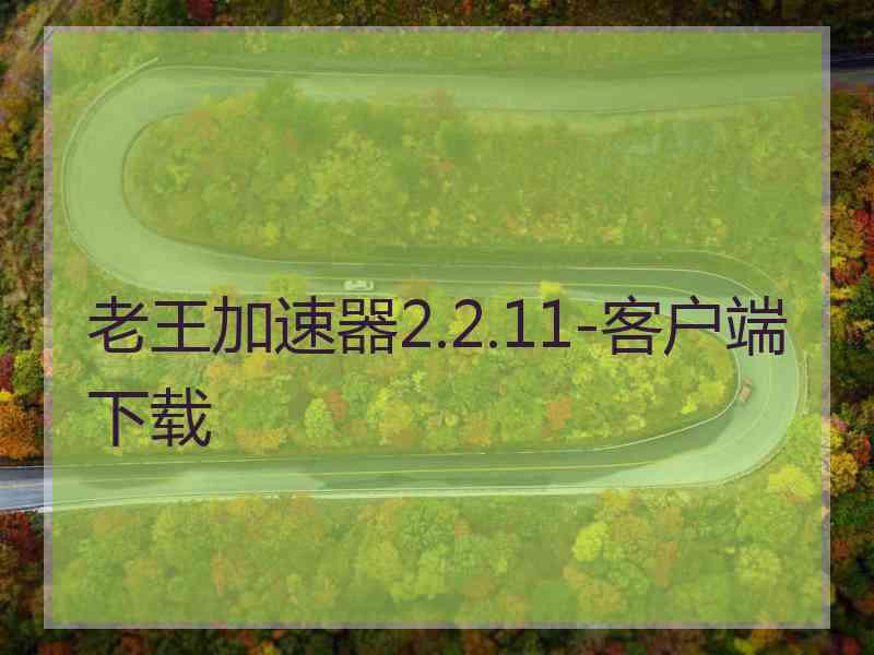 老王加速器2.2.11-客户端下载