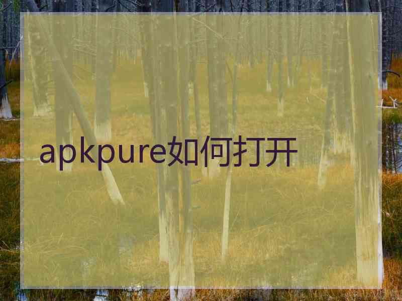 apkpure如何打开