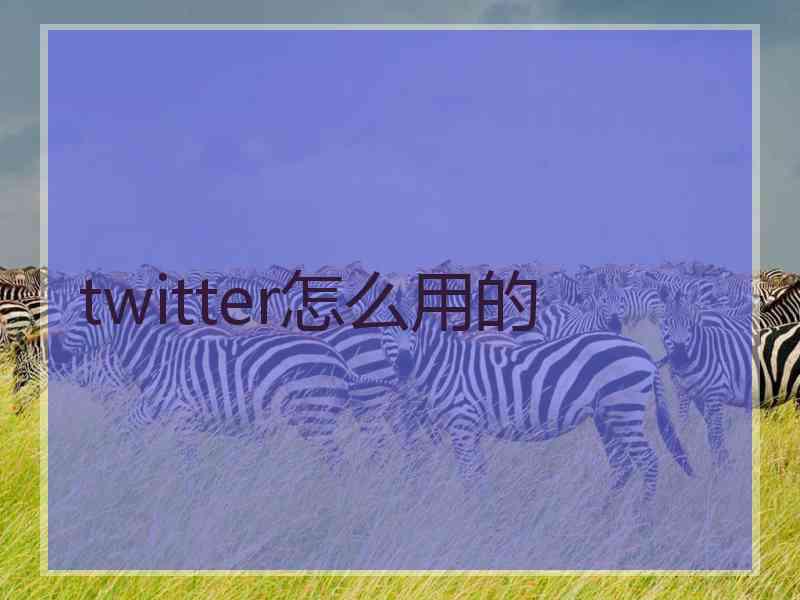 twitter怎么用的