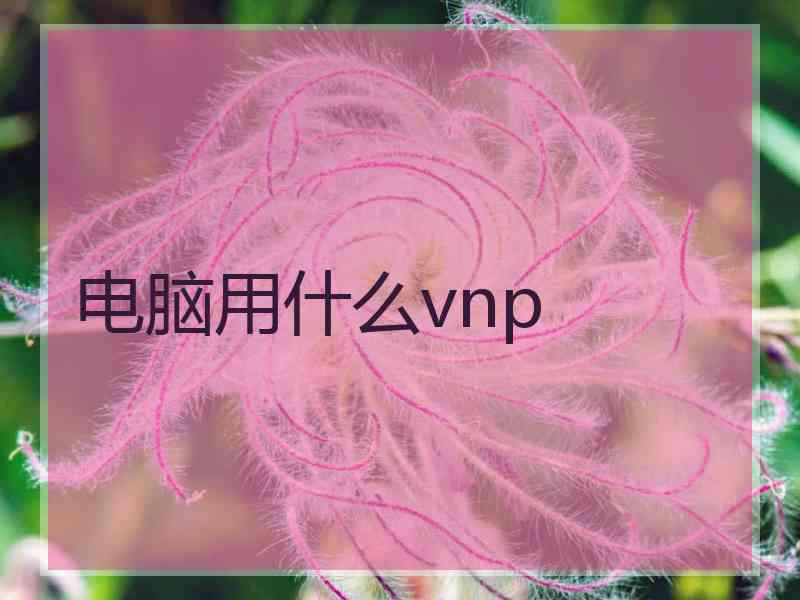 电脑用什么vnp