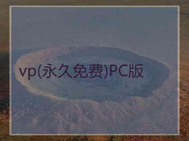 vp(永久免费)PC版