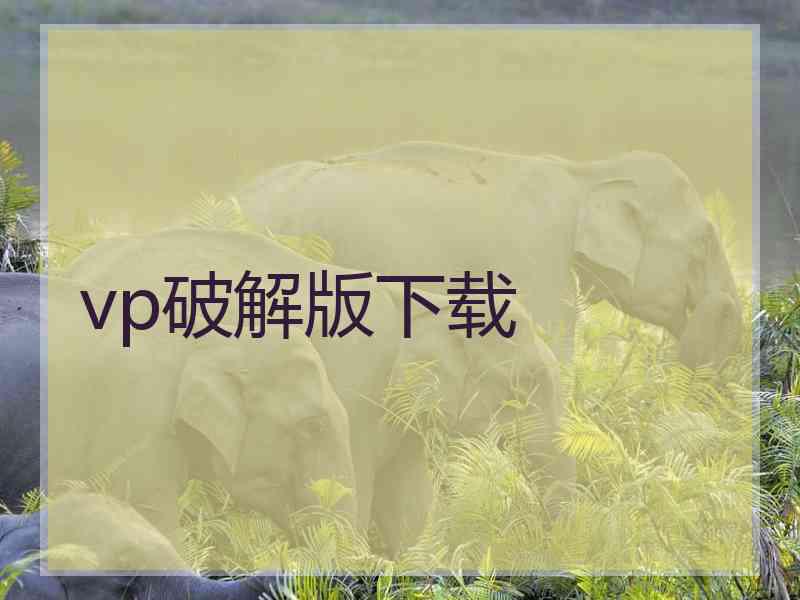 vp破解版下载