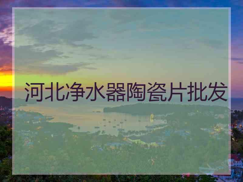 河北净水器陶瓷片批发