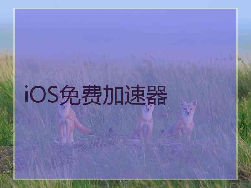 iOS免费加速器