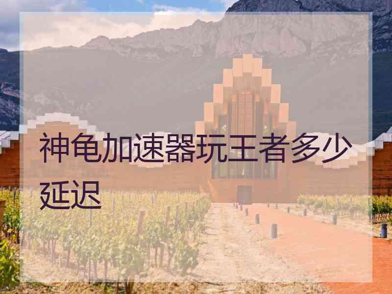 神龟加速器玩王者多少延迟