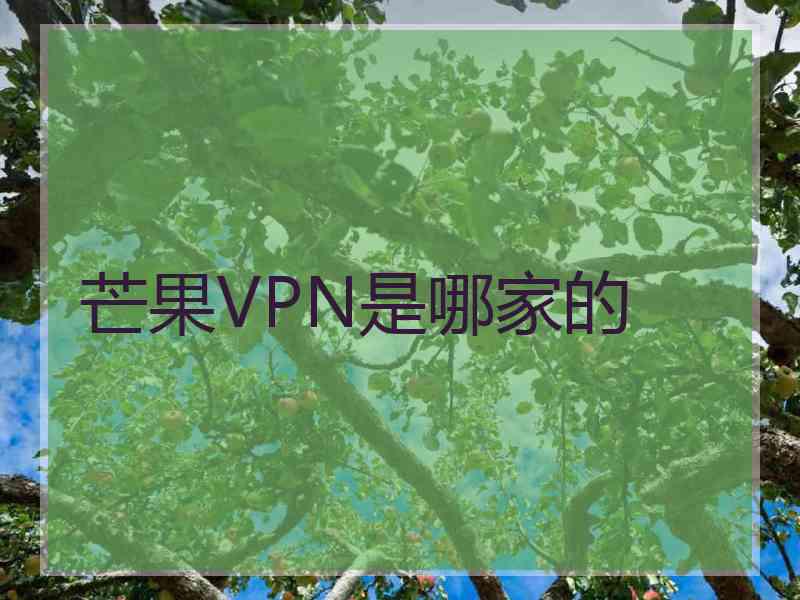 芒果VPN是哪家的