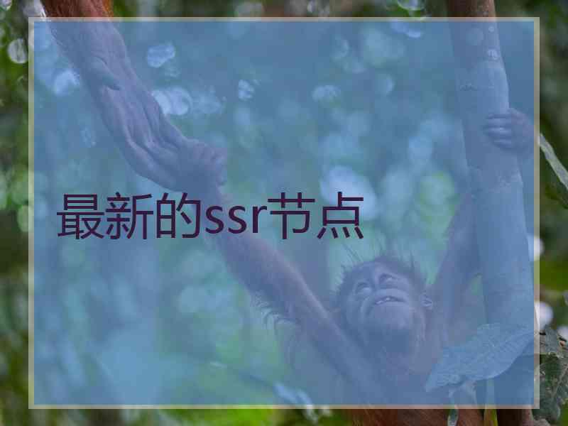 最新的ssr节点