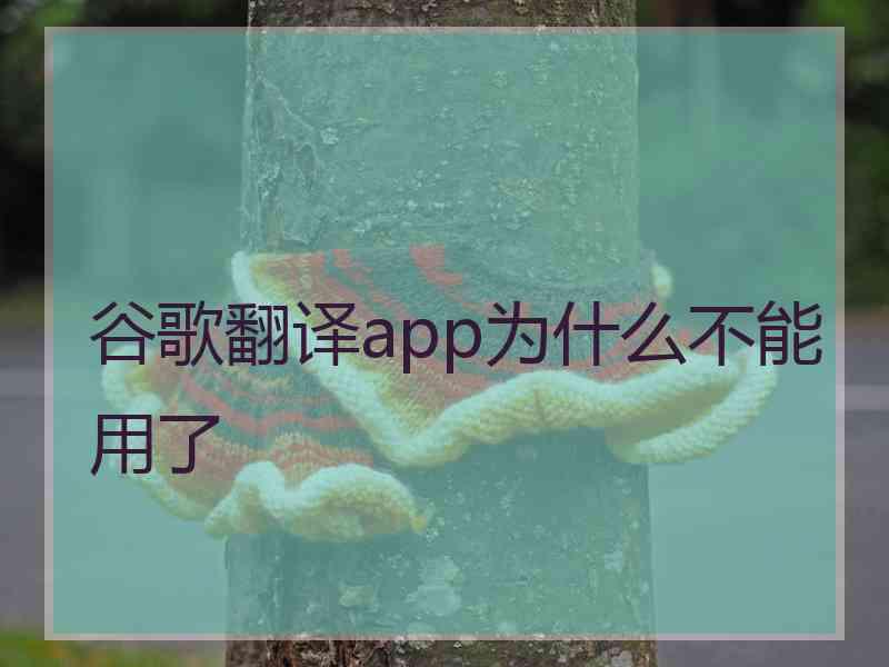 谷歌翻译app为什么不能用了