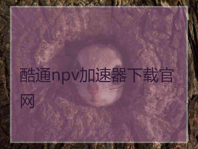 酷通npv加速器下载官网