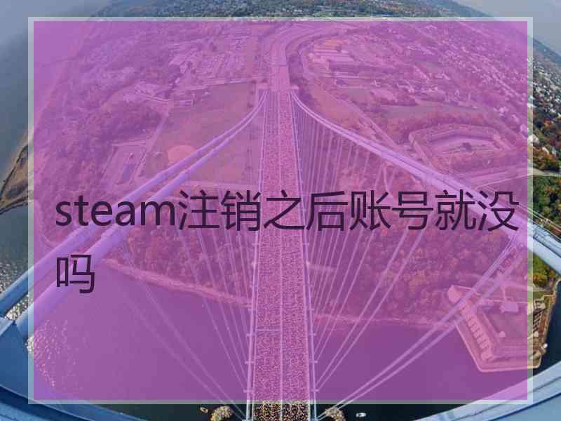 steam注销之后账号就没吗