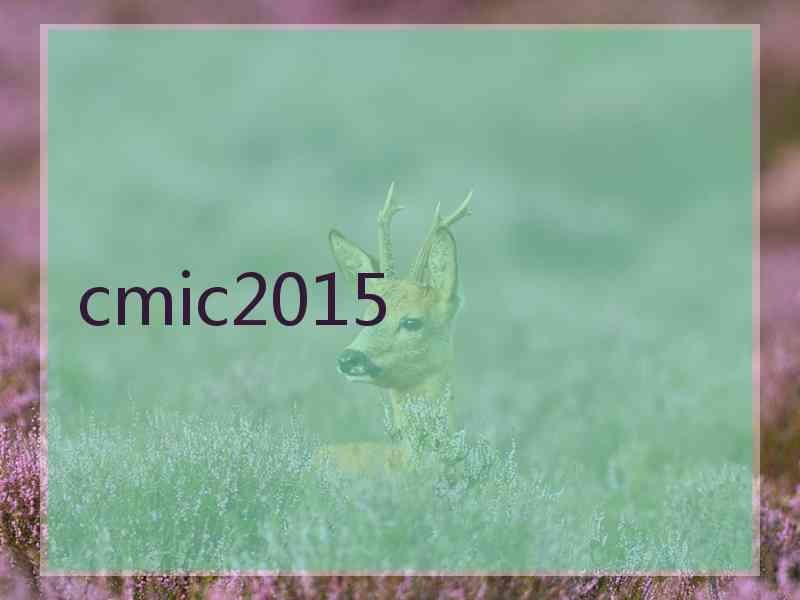 cmic2015