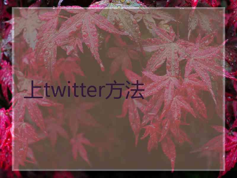 上twitter方法