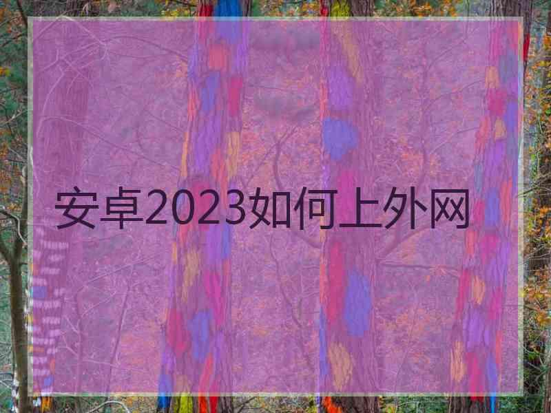 安卓2023如何上外网