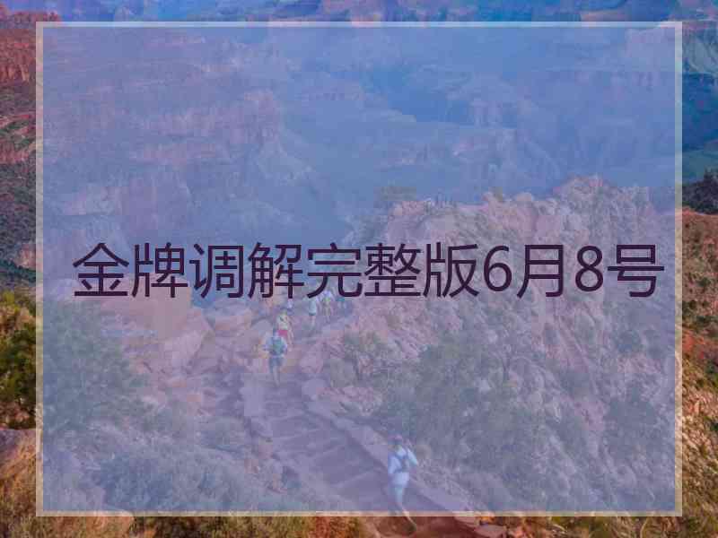 金牌调解完整版6月8号