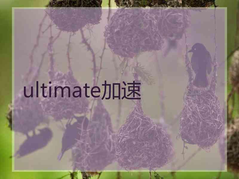 ultimate加速