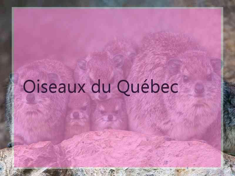 Oiseaux du Québec