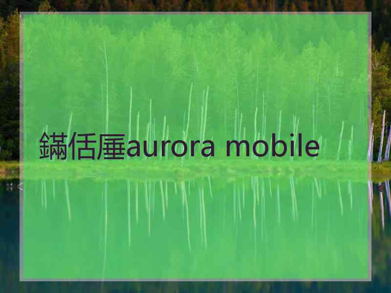 鏋佸厜aurora mobile