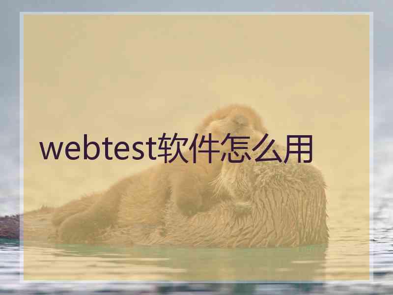 webtest软件怎么用