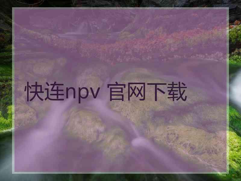 快连npv 官网下载