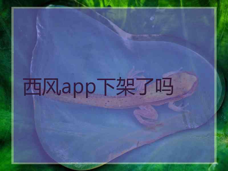 西风app下架了吗