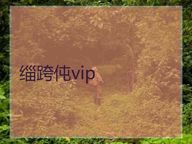 缁跨伅vip