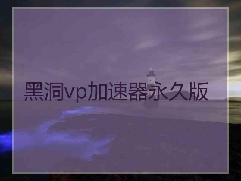 黑洞vp加速器永久版