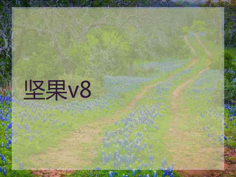 坚果v8