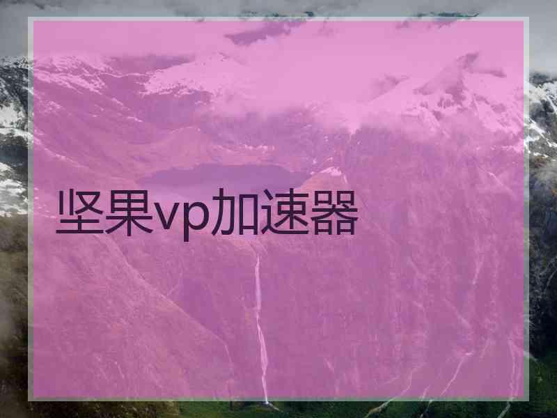 坚果vp加速器