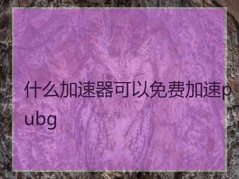 什么加速器可以免费加速pubg