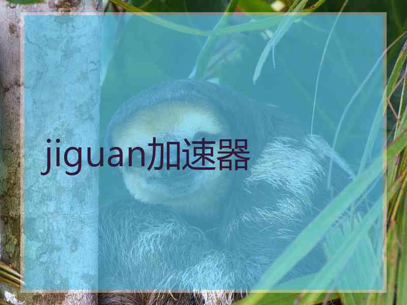 jiguan加速器