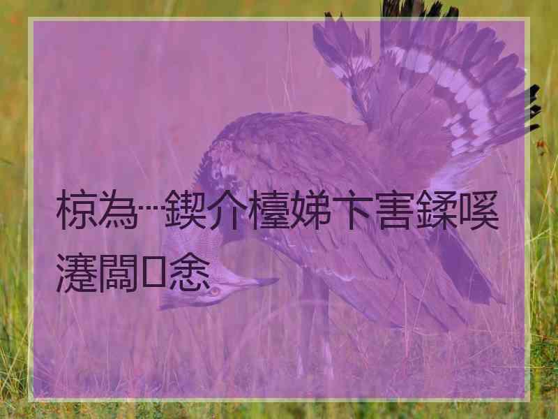 椋為┈鍥介檯娣卞害鍒嗘瀽闆悆