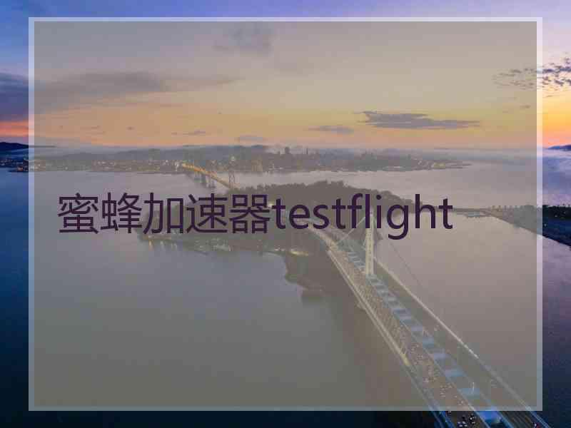 蜜蜂加速器testflight