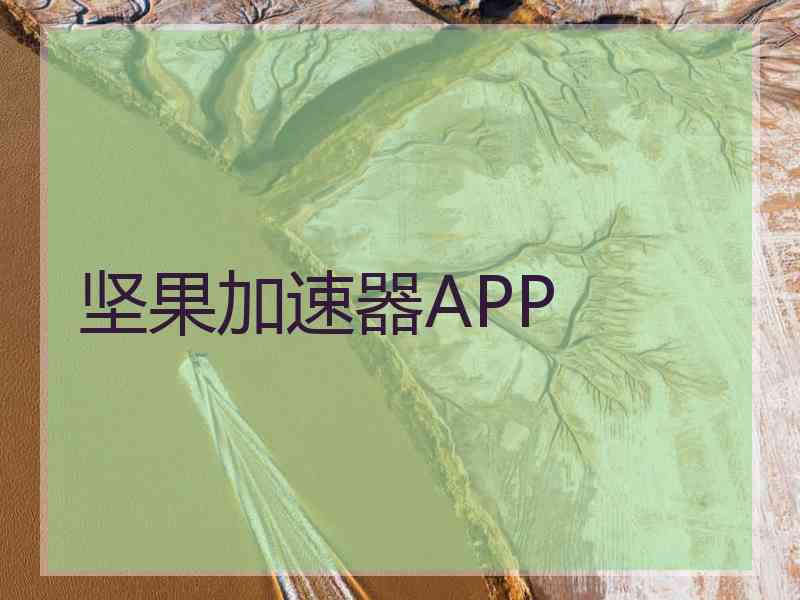 坚果加速器APP