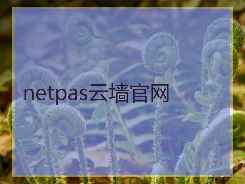 netpas云墙官网