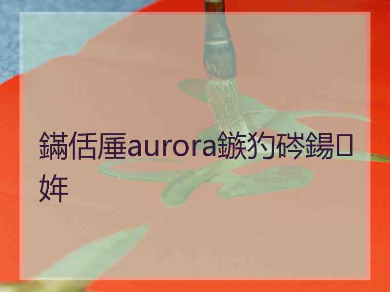 鏋佸厜aurora鏃犳硶鍚姩