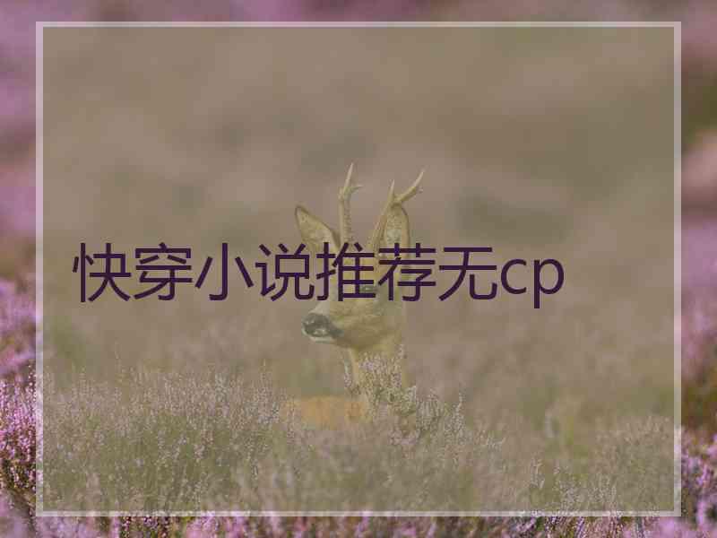 快穿小说推荐无cp