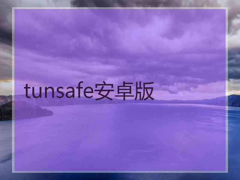 tunsafe安卓版