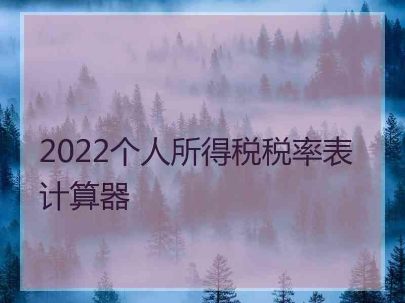 2022个人所得税税率表计算器