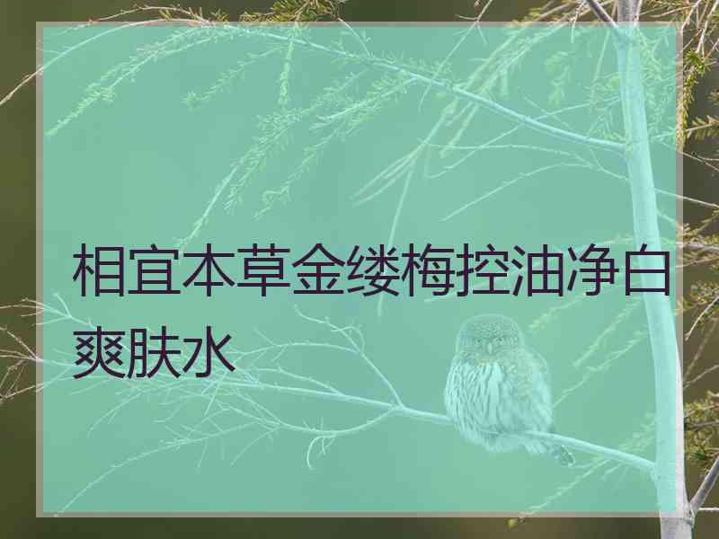 相宜本草金缕梅控油净白爽肤水