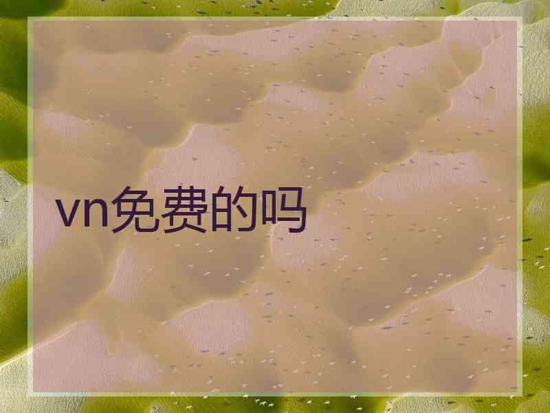 vn免费的吗